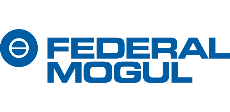 Federal Mogul